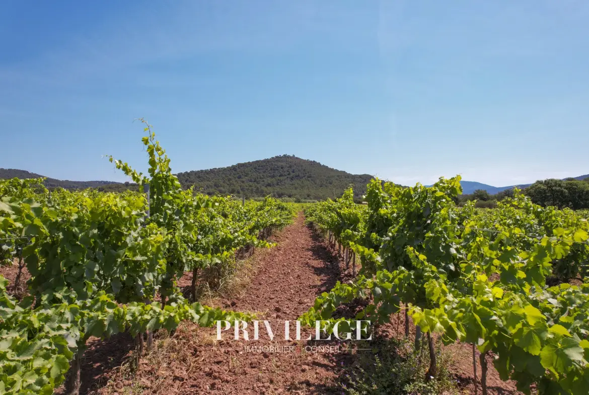 Vente d'un Vignoble Renommé en Provence avec Plus de 100 Hectares 