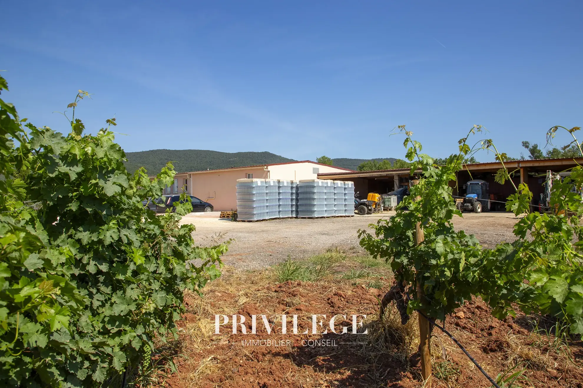 Vente d'un Vignoble Renommé en Provence avec Plus de 100 Hectares 