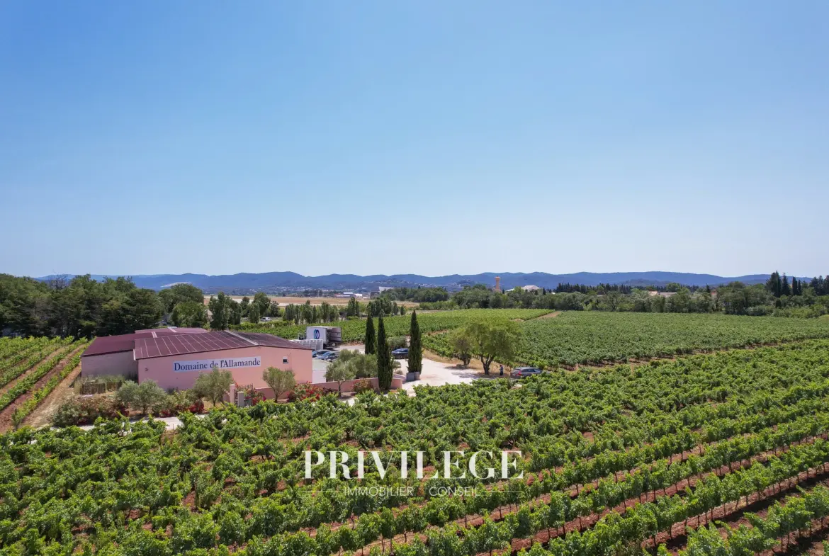 Vente d'un Vignoble Renommé en Provence avec Plus de 100 Hectares 