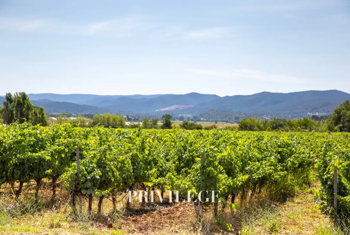 Vente d'un Vignoble Renommé en Provence avec Plus de 100 Hectares 