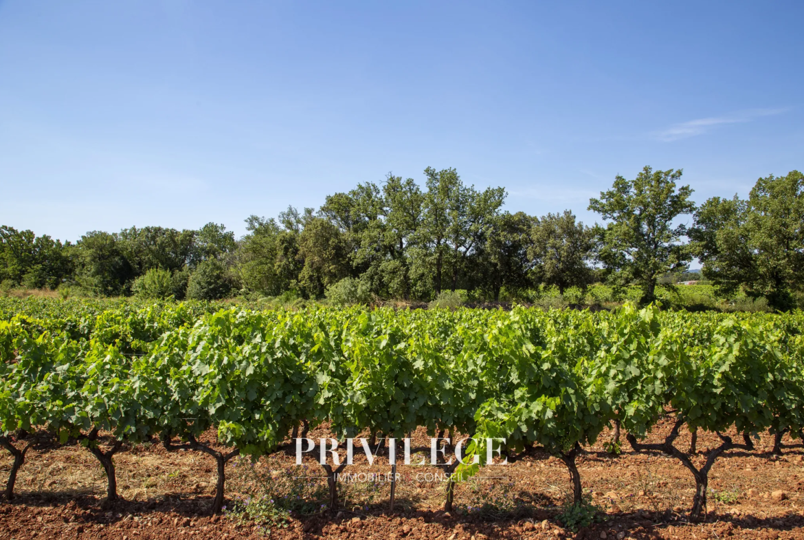 Vente d'un Vignoble Renommé en Provence avec Plus de 100 Hectares 