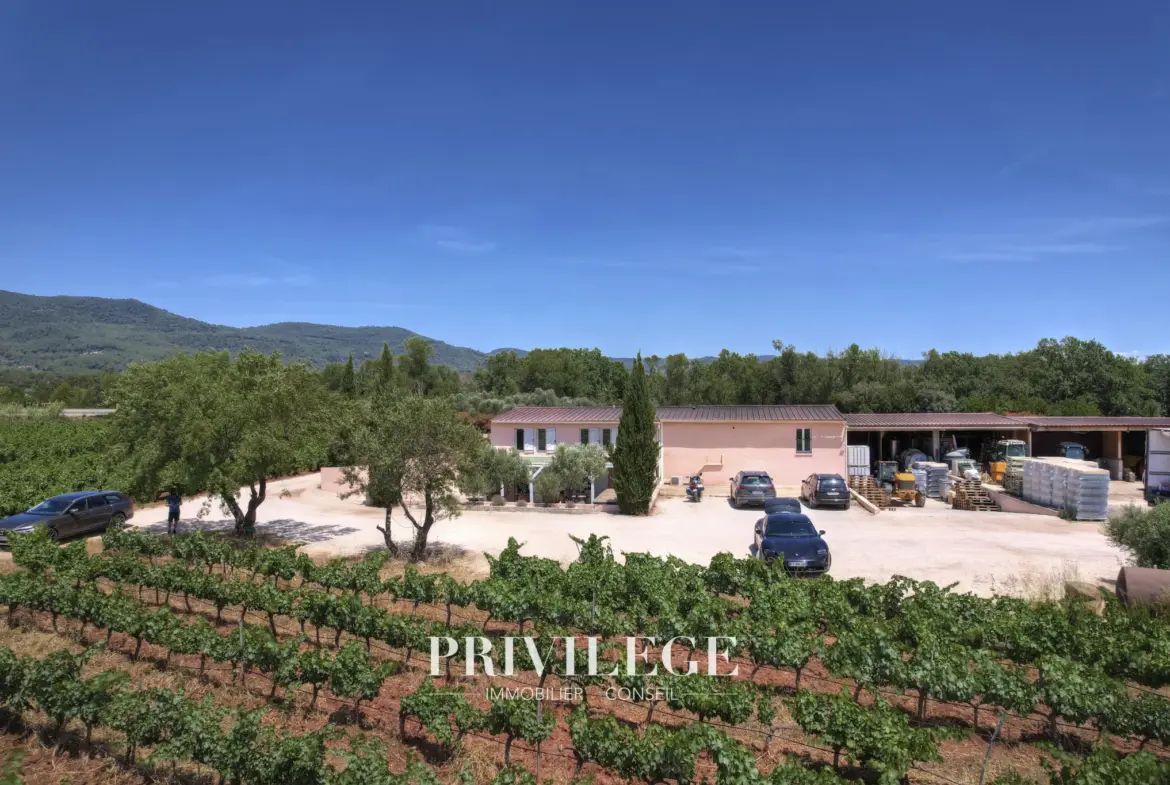 Vente d'un Vignoble Renommé en Provence avec Plus de 100 Hectares 