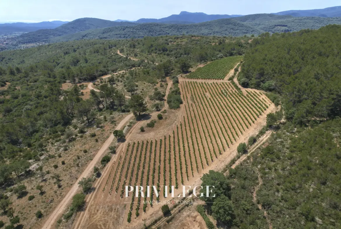 Vente d'un Vignoble Renommé en Provence avec Plus de 100 Hectares 