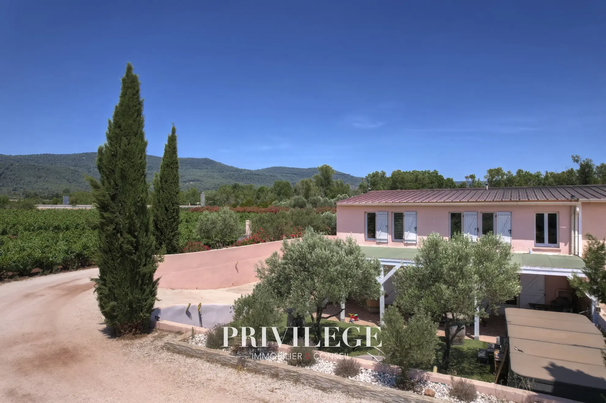 Vente d'un Vignoble Renommé en Provence avec Plus de 100 Hectares 