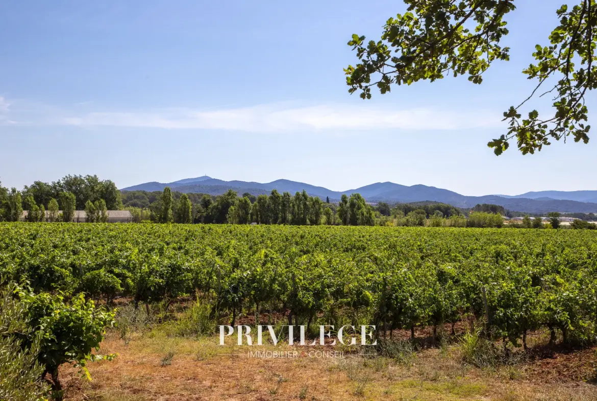 Vente d'un Vignoble Renommé en Provence avec Plus de 100 Hectares 