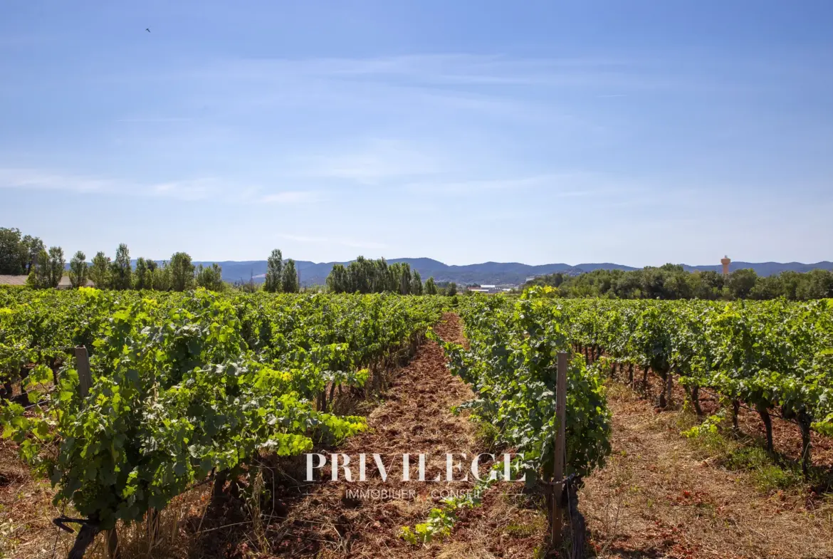 Vente d'un Vignoble Renommé en Provence avec Plus de 100 Hectares 