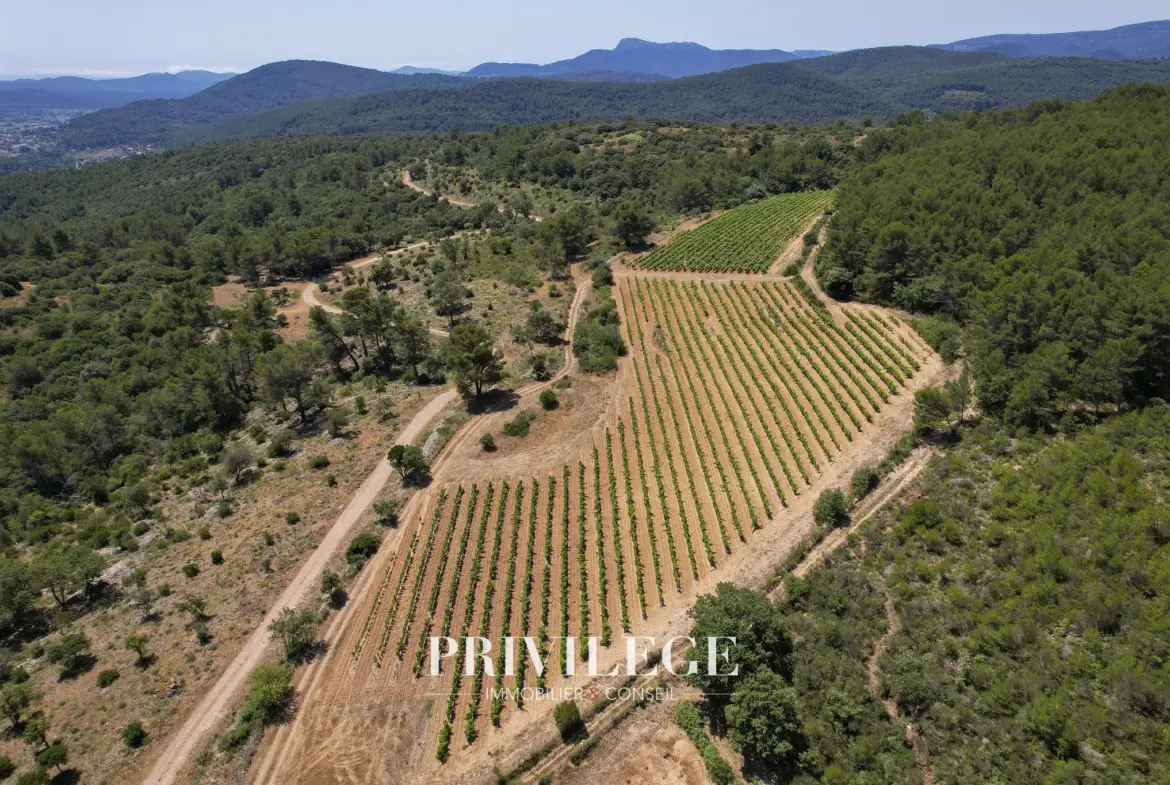 Vente d'un Vignoble Renommé en Provence avec Plus de 100 Hectares 