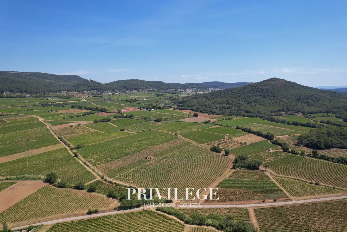 Vente d'un Vignoble Renommé en Provence avec Plus de 100 Hectares 