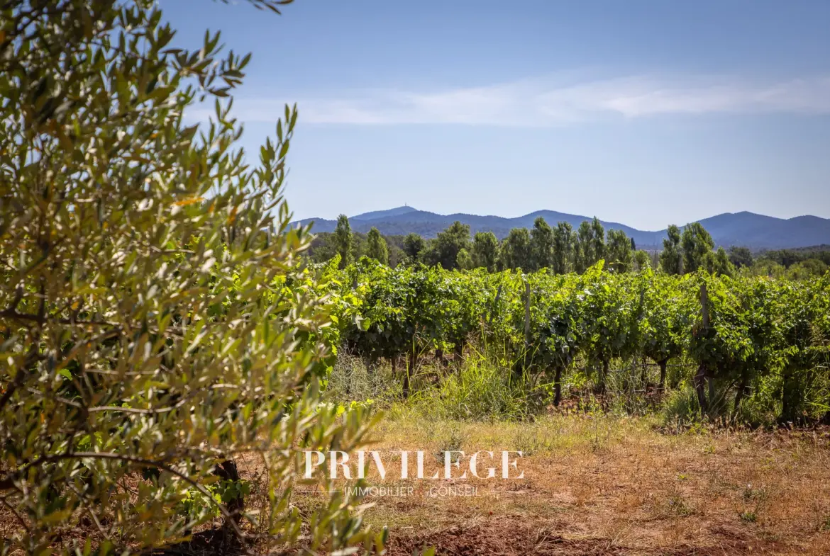 Vente d'un Vignoble Renommé en Provence avec Plus de 100 Hectares 