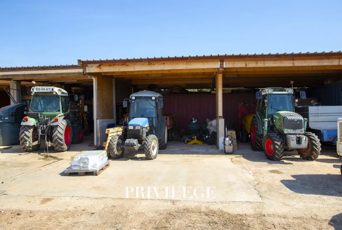 Vente d'un Vignoble Renommé en Provence avec Plus de 100 Hectares 