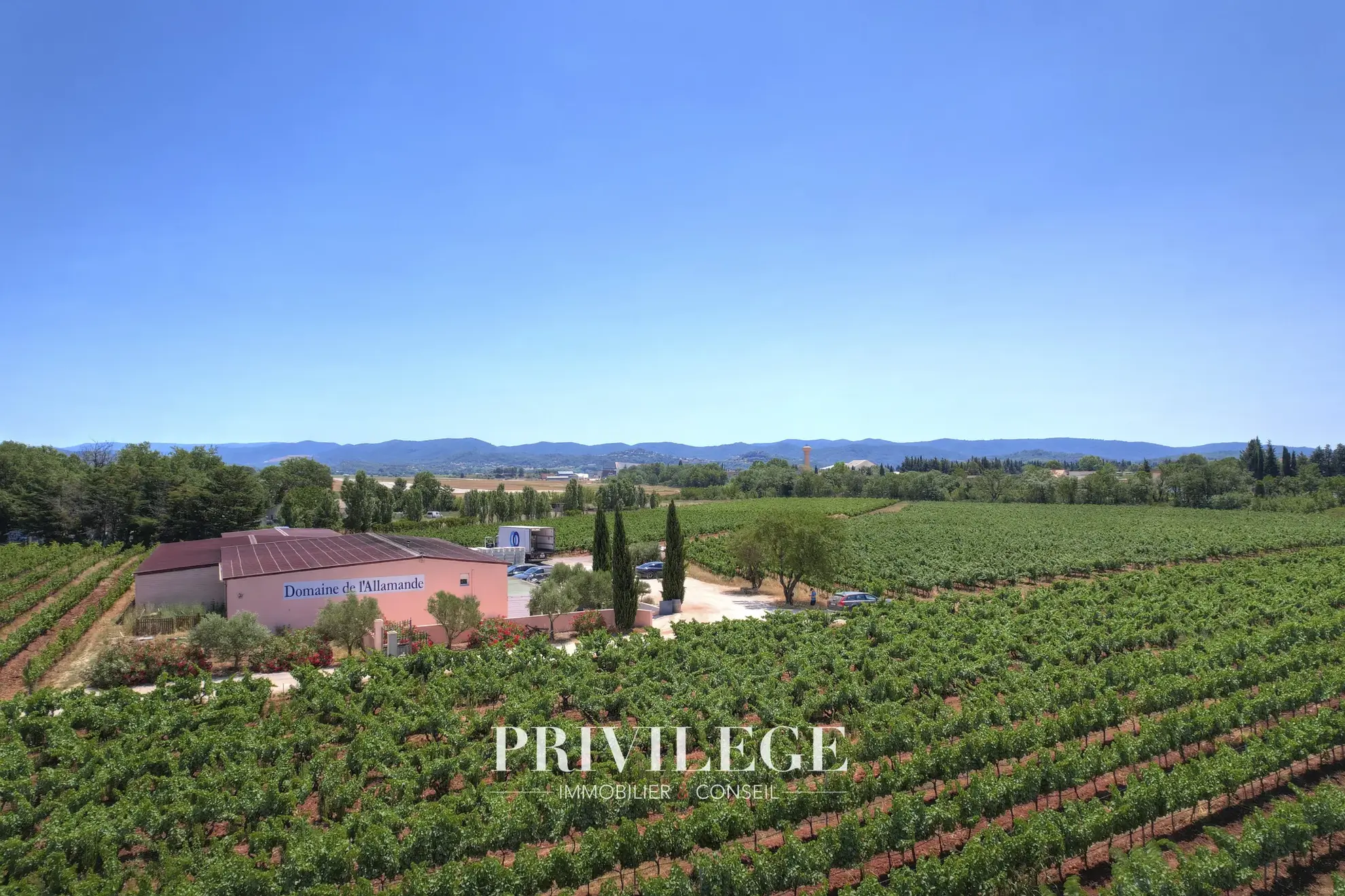 Vente d'un Vignoble Renommé en Provence avec Plus de 100 Hectares 