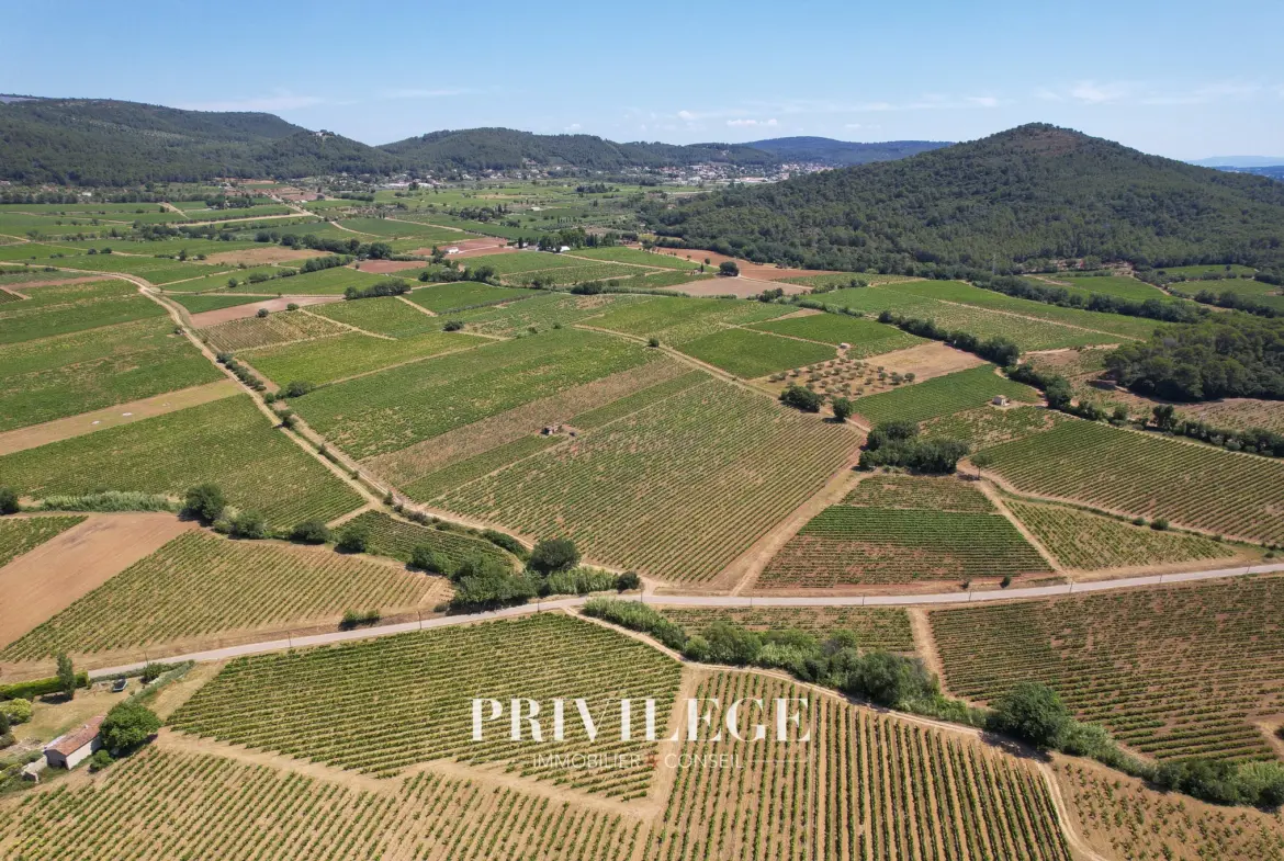 Vente d'un Vignoble Renommé en Provence avec Plus de 100 Hectares 