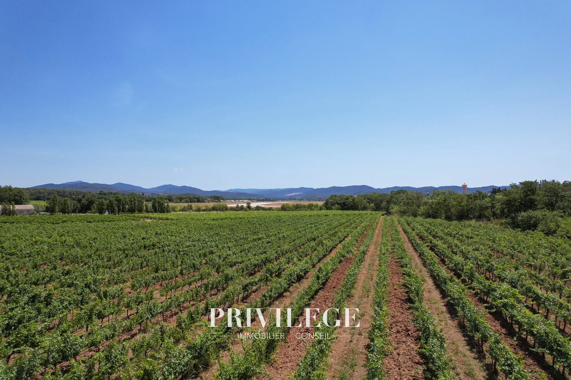 Vente d'un Vignoble Renommé en Provence avec Plus de 100 Hectares 