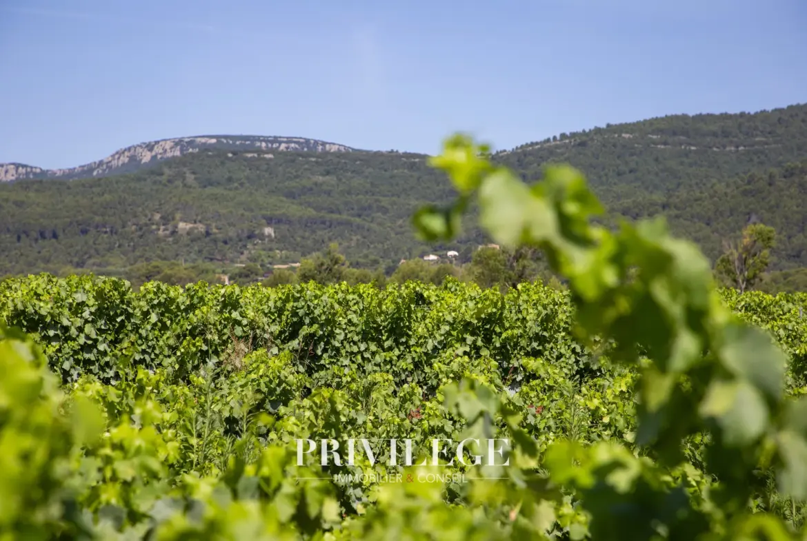 Vente d'un Vignoble Renommé en Provence avec Plus de 100 Hectares 