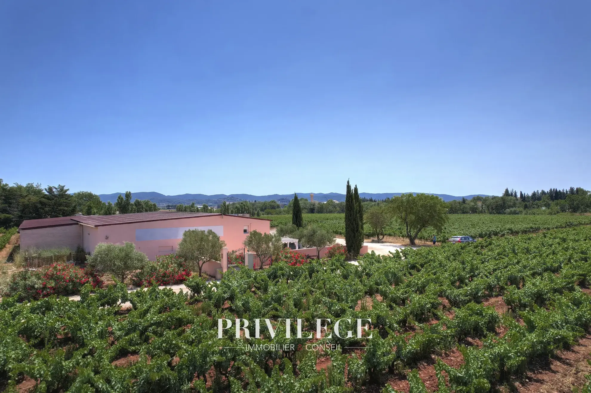 Vente d'un Vignoble Renommé en Provence avec Plus de 100 Hectares 