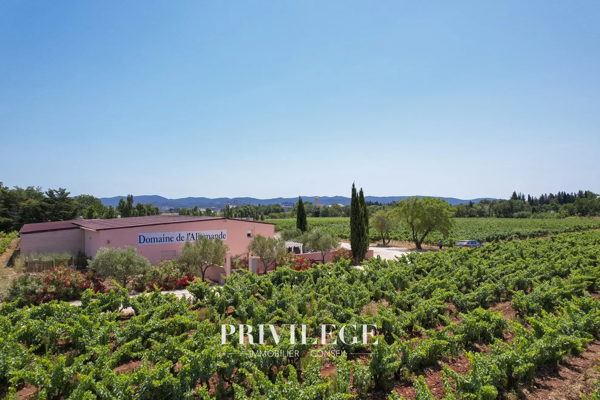 Vente d'un Vignoble Renommé en Provence avec Plus de 100 Hectares 