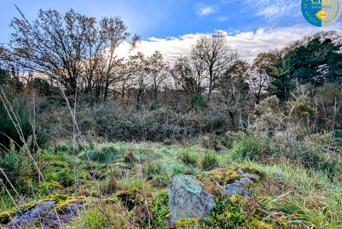 Terrain boisé à vendre à Monteneuf 