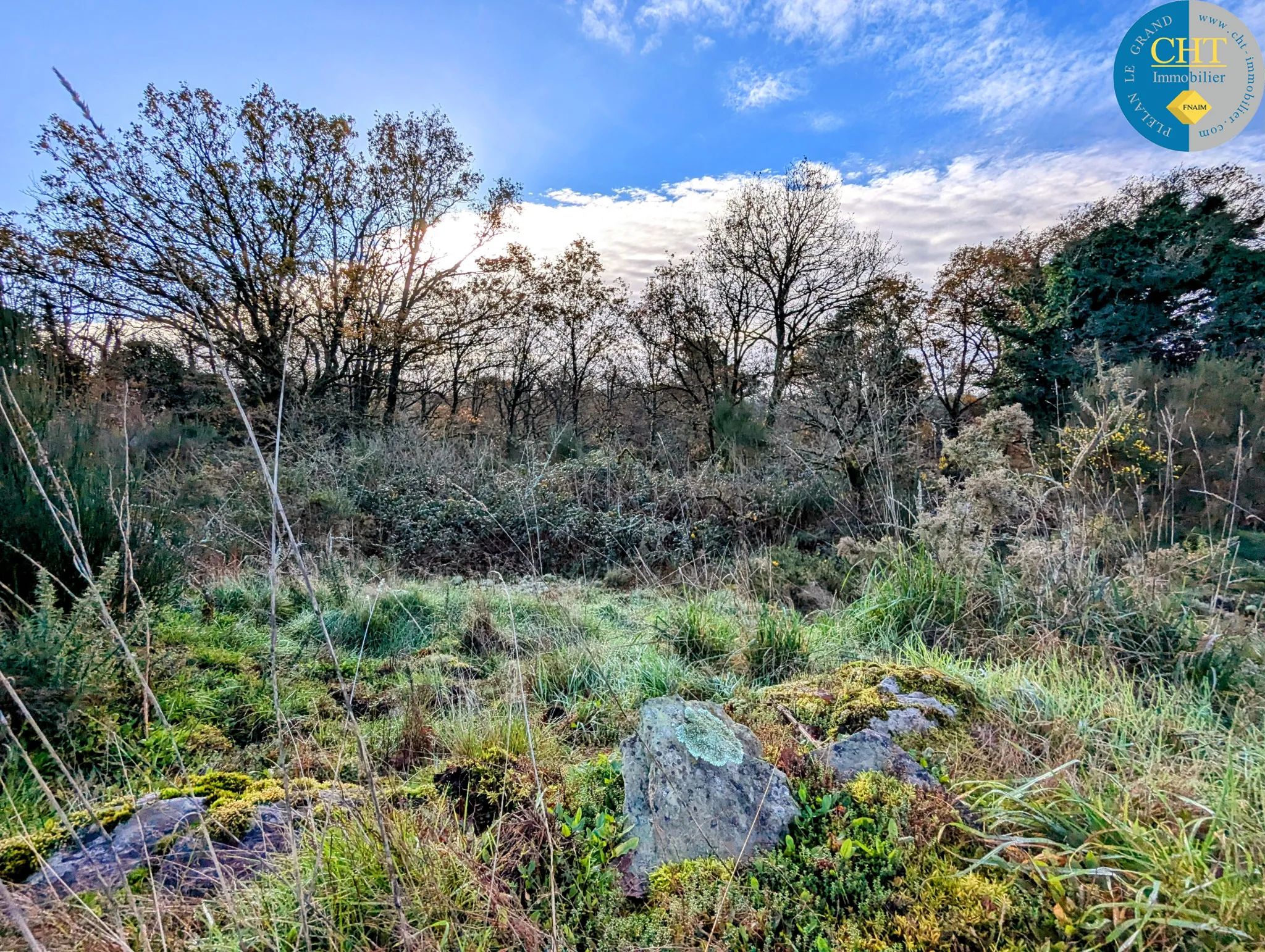 Terrain boisé à vendre à Monteneuf 