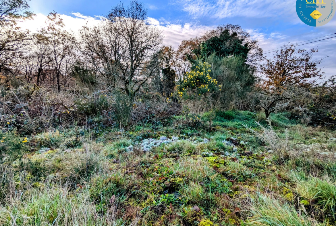 Terrain boisé à vendre à Monteneuf 