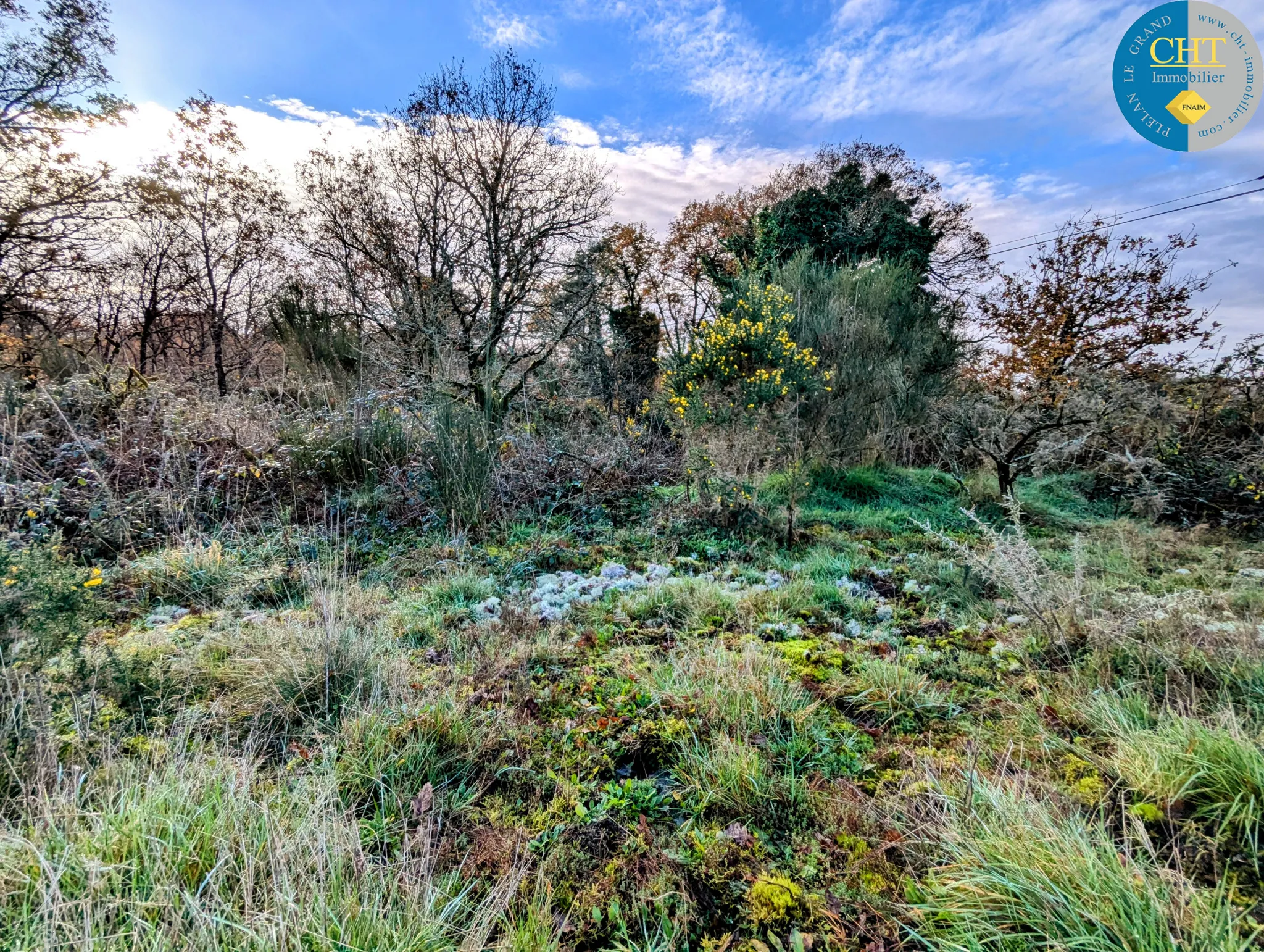 Terrain boisé à vendre à Monteneuf 