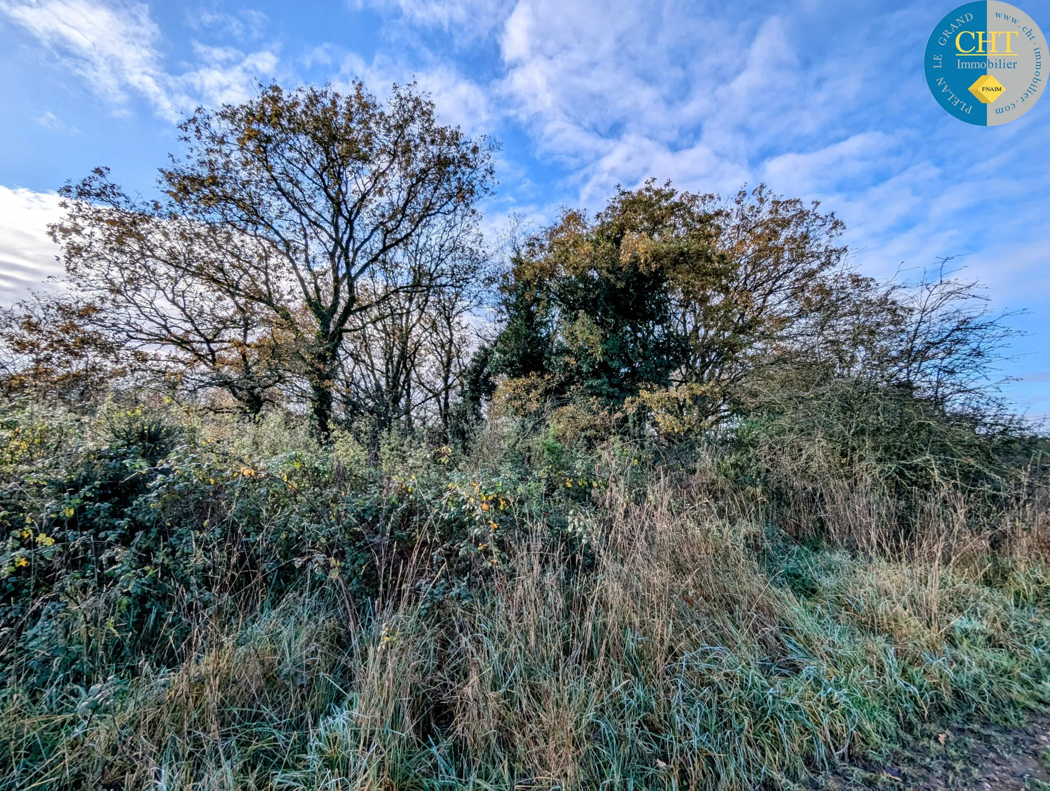 Terrain boisé à vendre à Monteneuf 