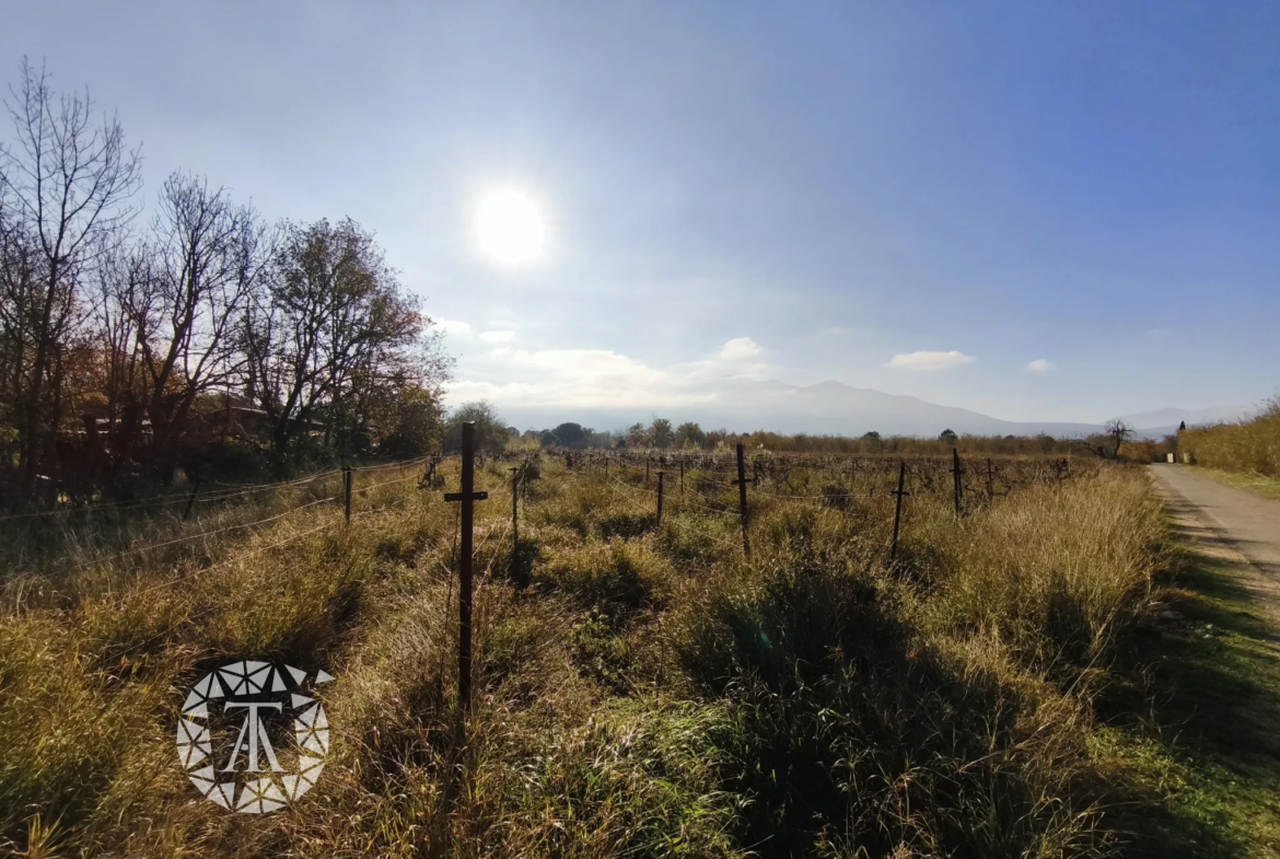 Terrain non constructible à vendre à Villelongue-dels-Monts 