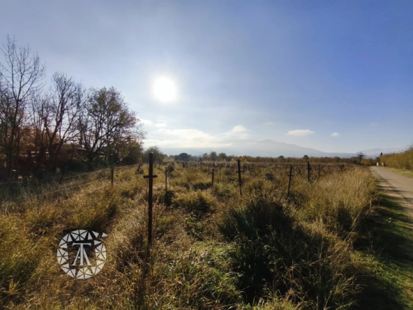 Terrain non constructible à vendre à Villelongue-dels-Monts