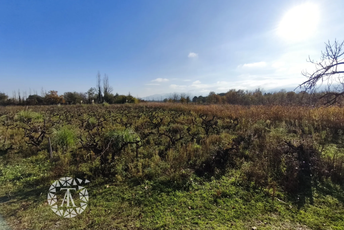 Terrain non constructible à vendre à Villelongue-dels-Monts 