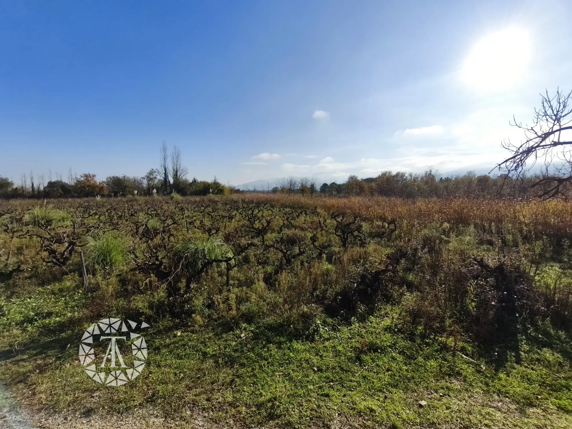 Terrain non constructible à vendre à Villelongue-dels-Monts 