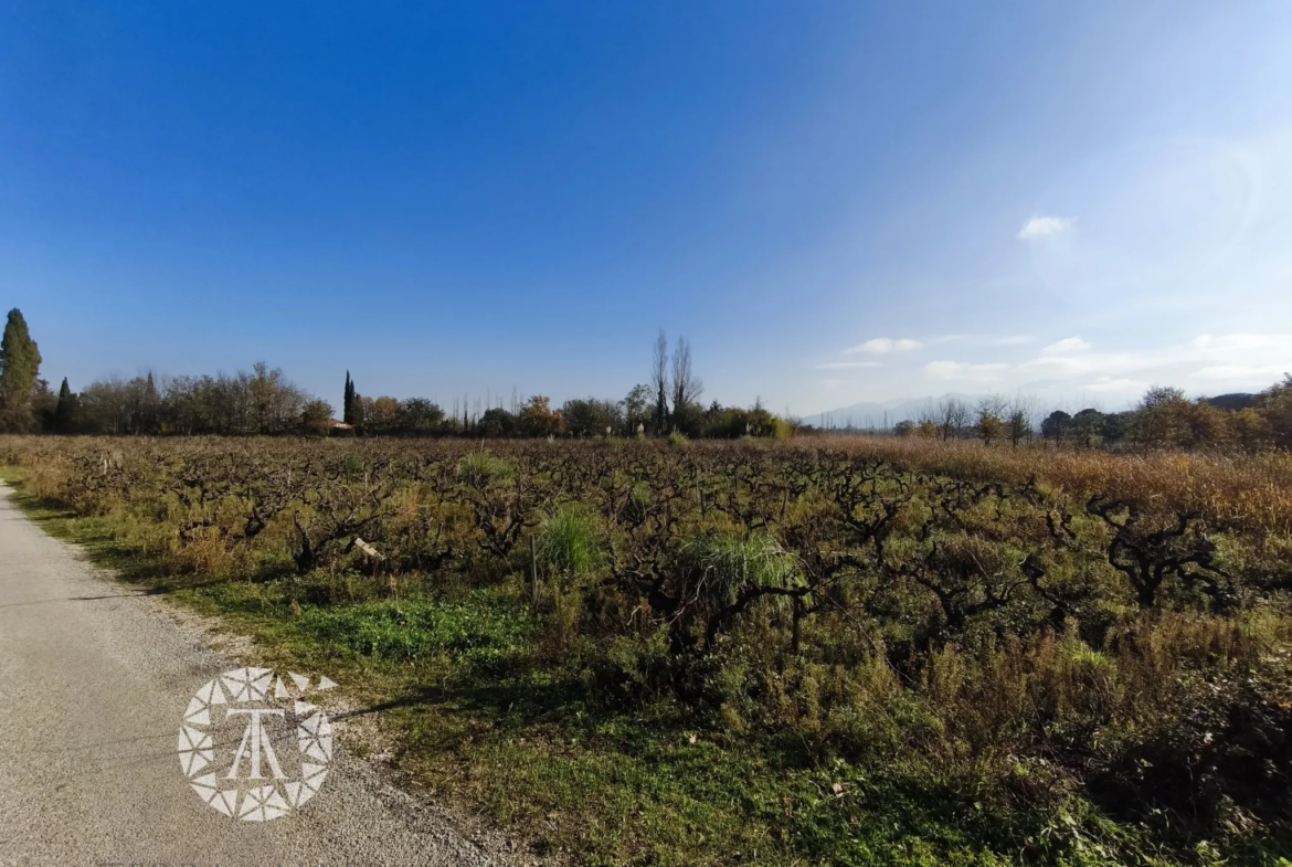 Terrain non constructible à vendre à Villelongue-dels-Monts 