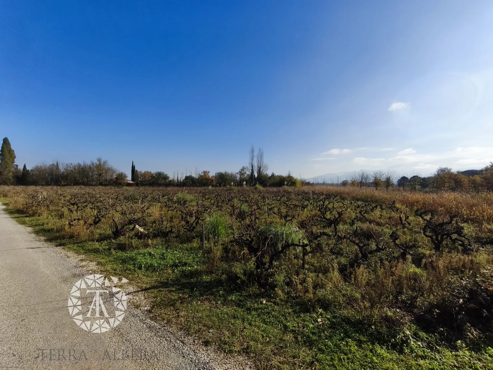 Terrain non constructible à vendre à Villelongue-dels-Monts 