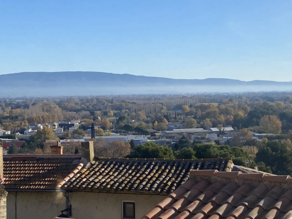 Maison de village rénovée à Chateauneuf de Gadagne avec vue imprenable