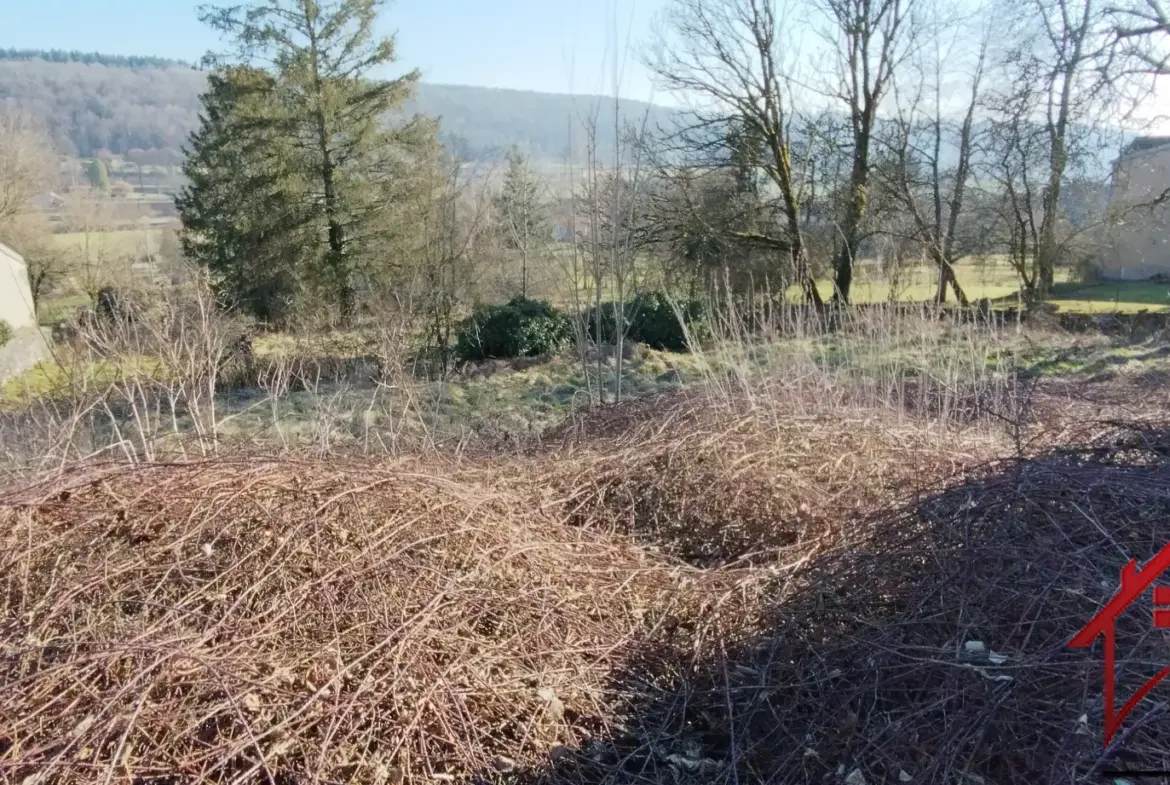 Terrain à bâtir viabilisé de 1657 m² à Harreville les Chanteurs 