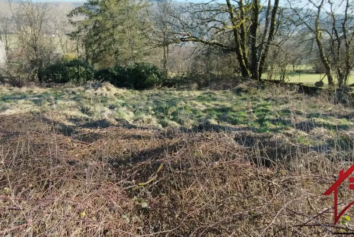 Terrain à bâtir viabilisé de 1657 m² à Harreville les Chanteurs 