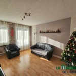 À vendre : Appartement F3 traversant avec balcon à Monthieu, Saint-Étienne