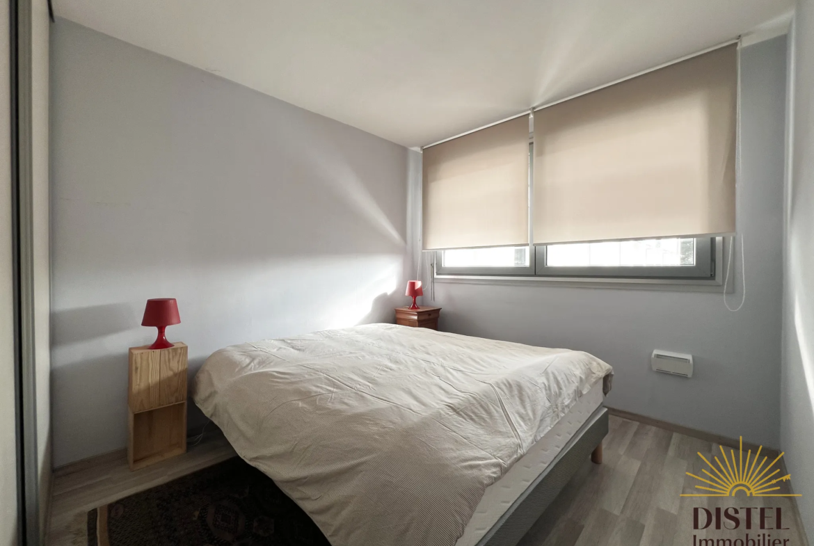 Appartement 2 pièces rénové de 50 m² à Mundolsheim - Opportunité rare 