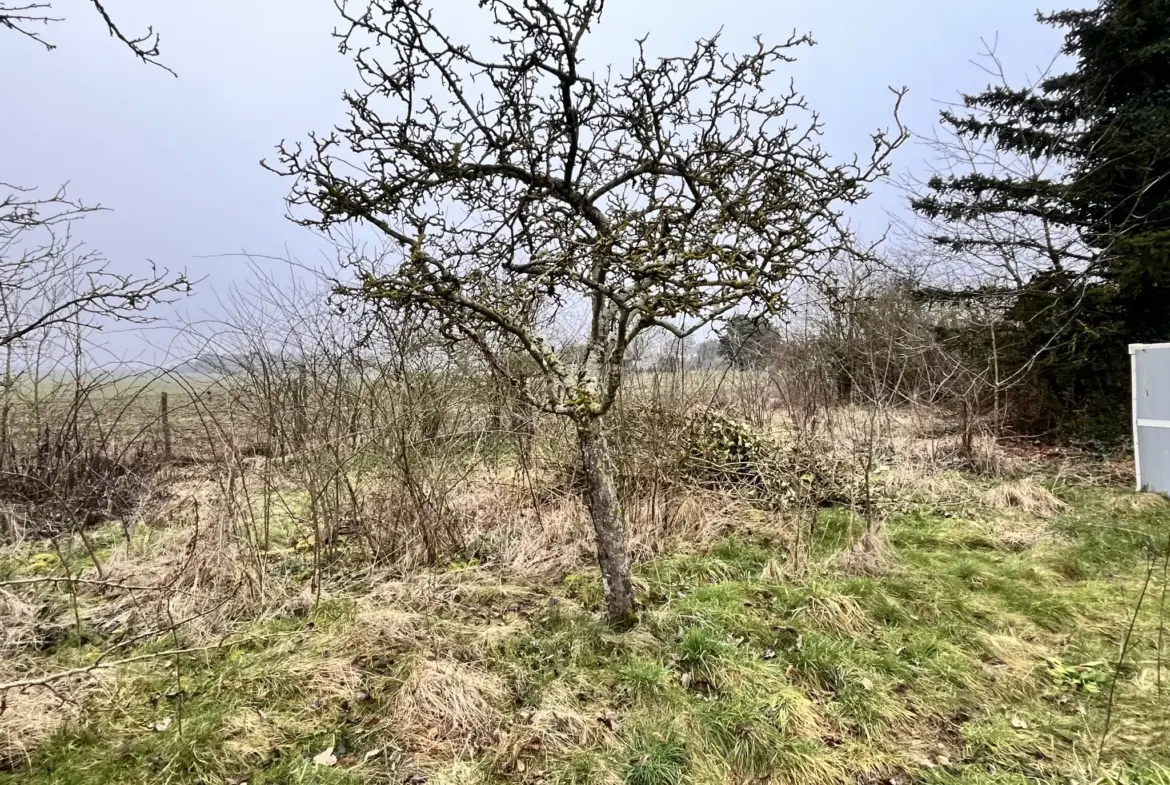 À vendre : Terrain de loisir avec verger à Angerville 