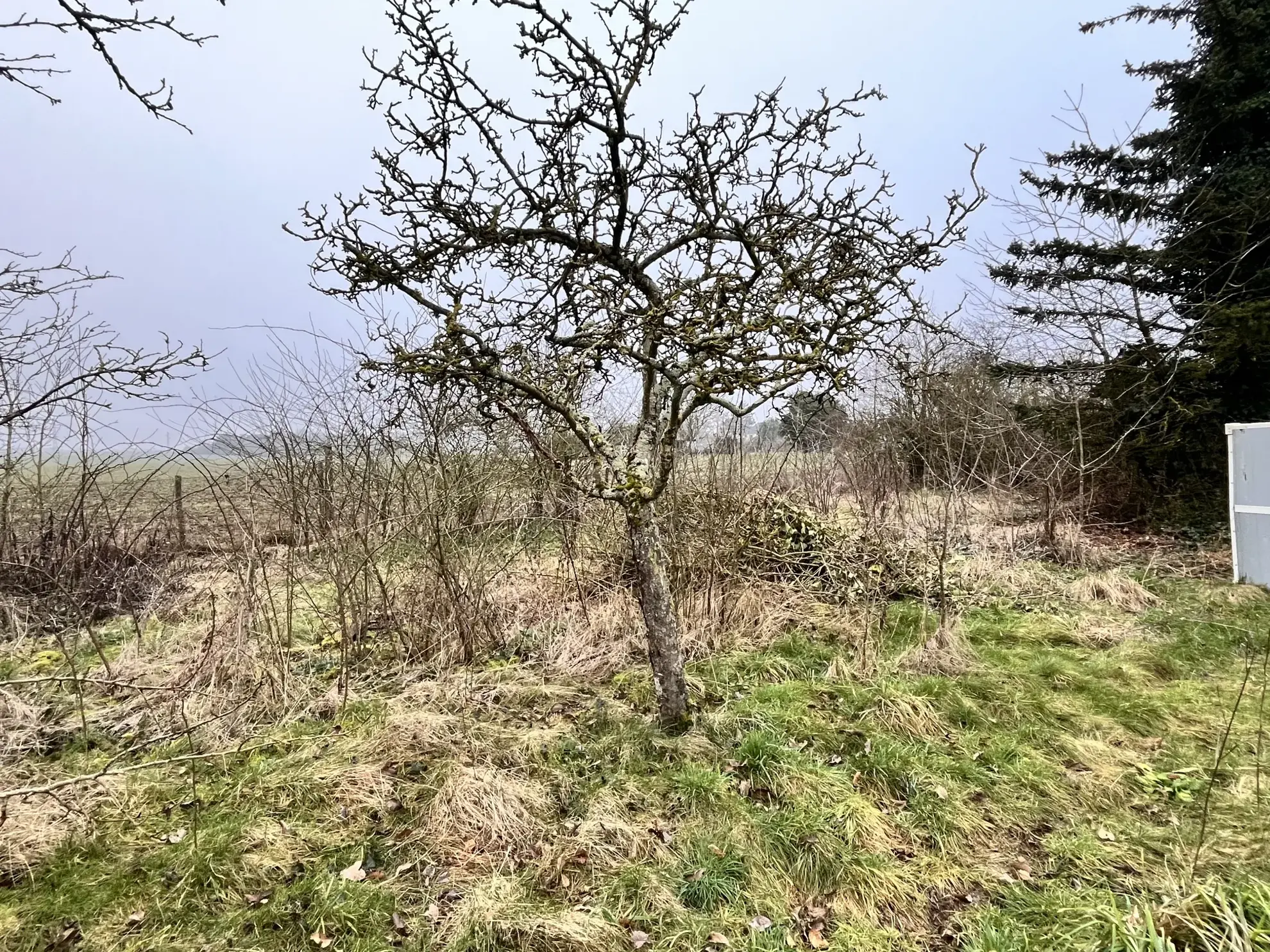 À vendre : Terrain de loisir avec verger à Angerville 