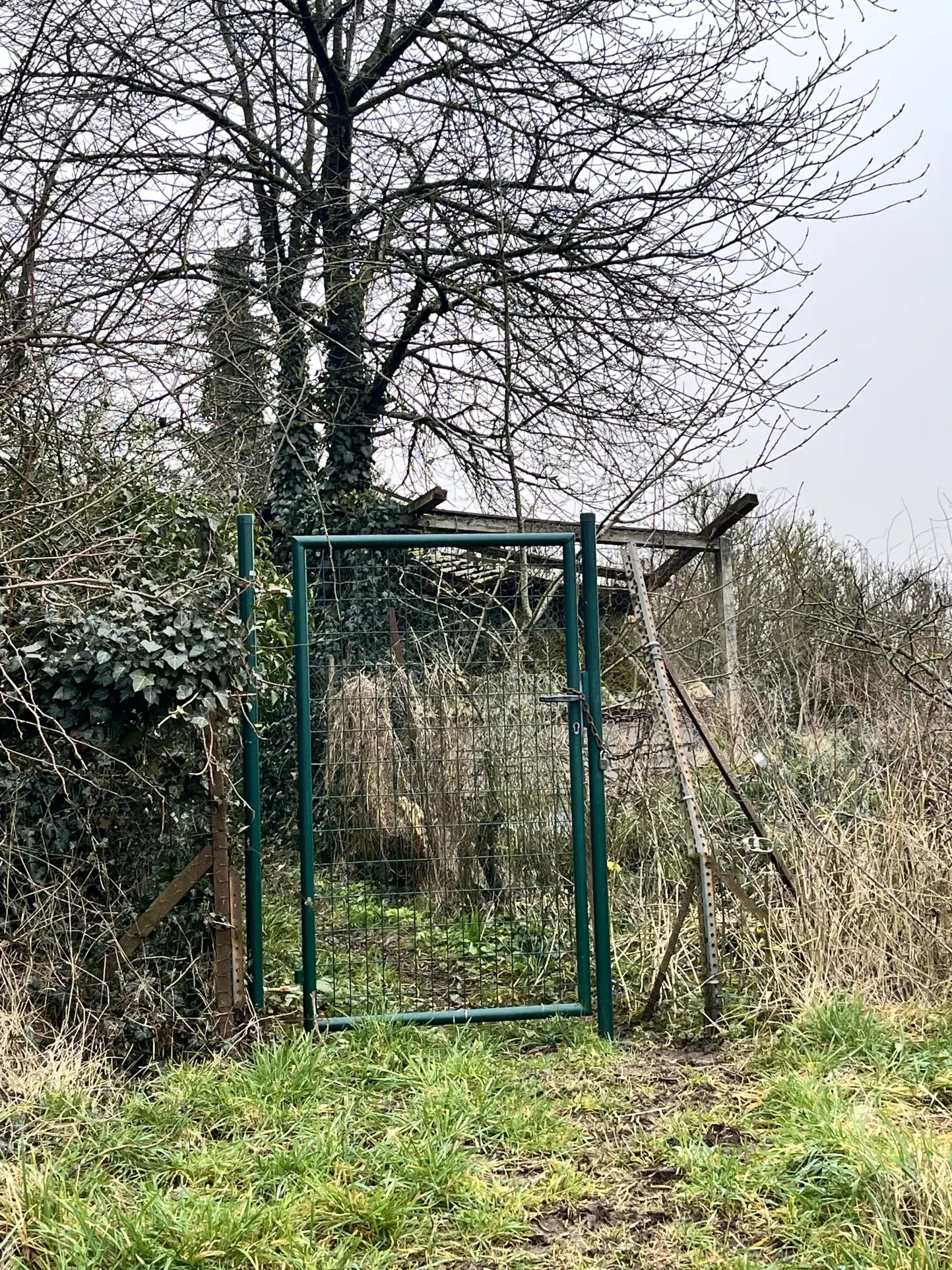 À vendre : Terrain de loisir avec verger à Angerville 