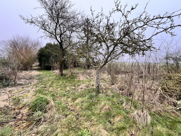 À vendre : Terrain de loisir avec verger à Angerville