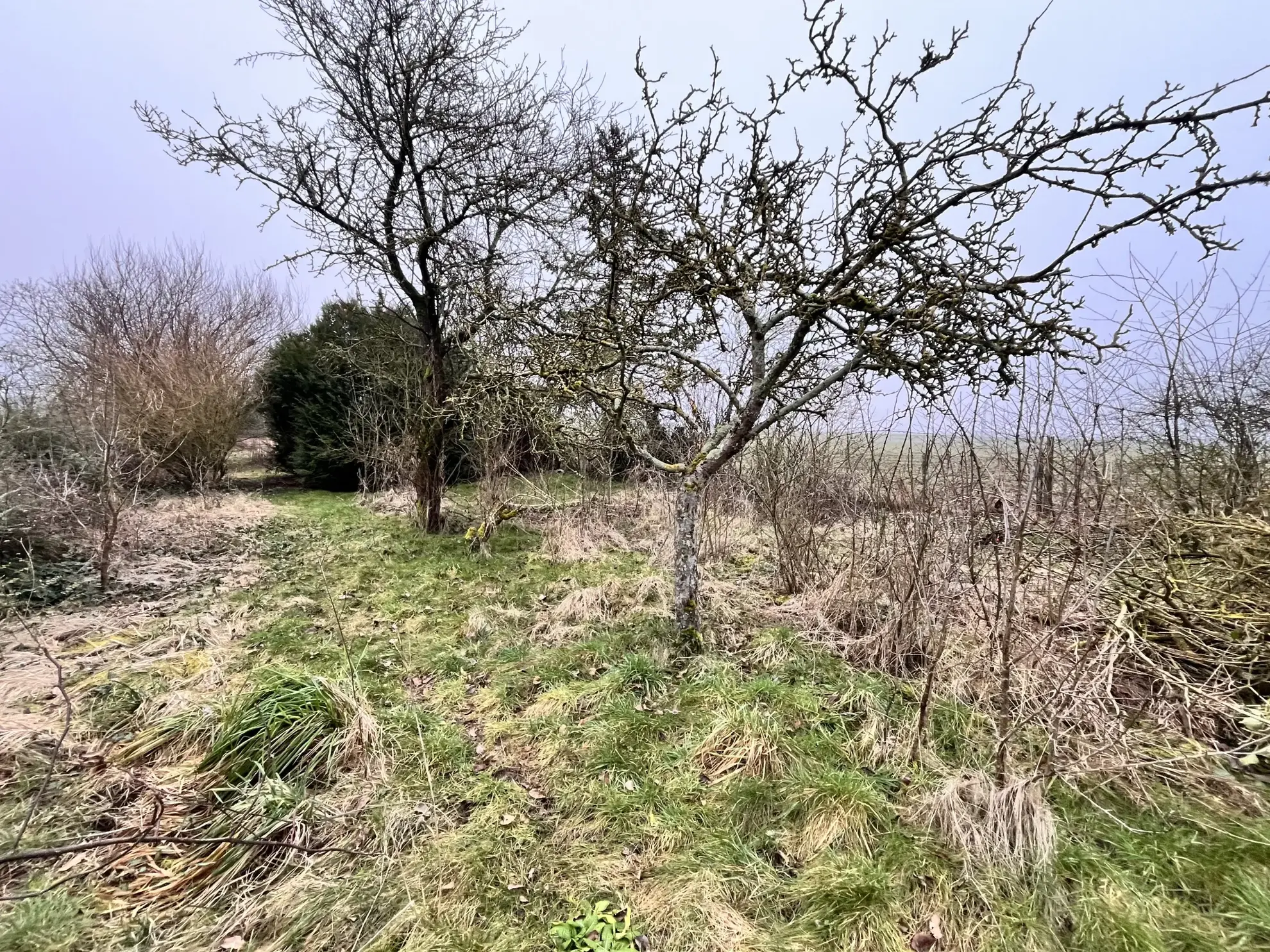 À vendre : Terrain de loisir avec verger à Angerville 