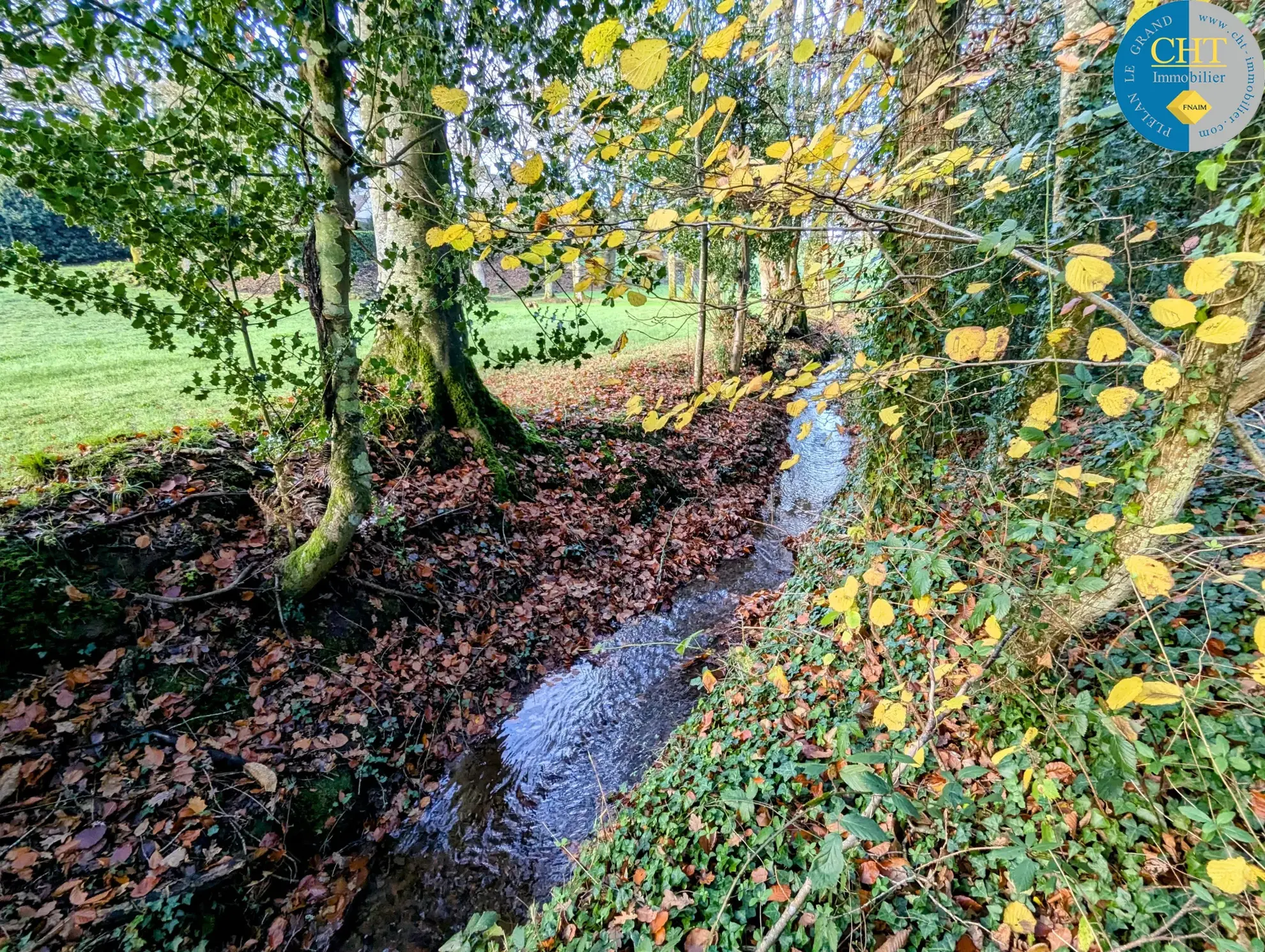 Terrain boisé à vendre à Monteneuf - 1 025 m2 