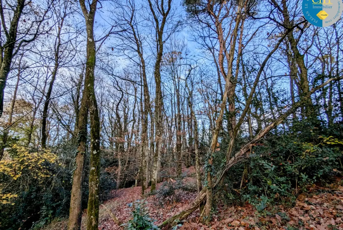 Terrain boisé à vendre à Monteneuf - 1 025 m2 