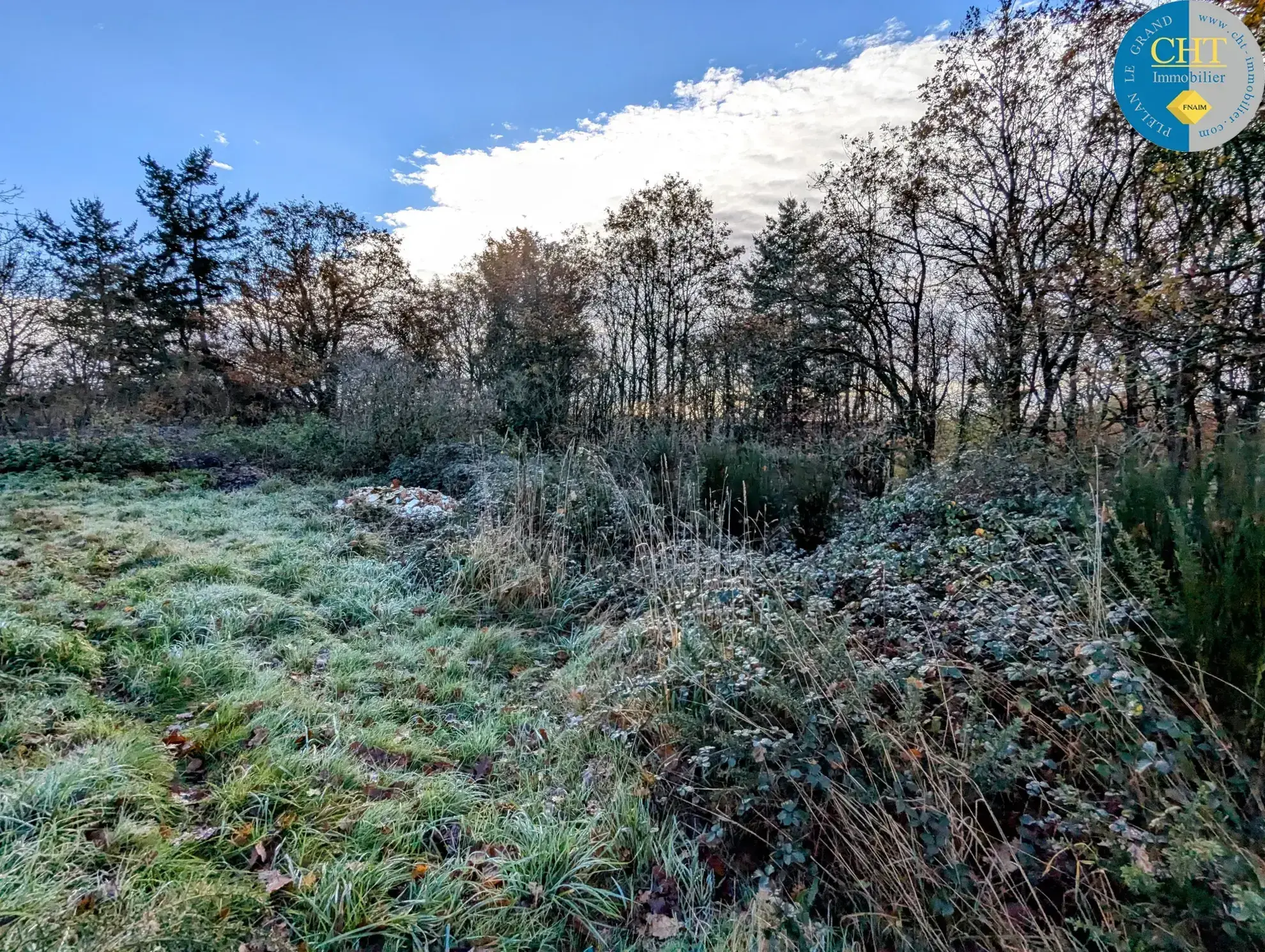 Terrain boisé à vendre à Monteneuf - 1 025 m2 