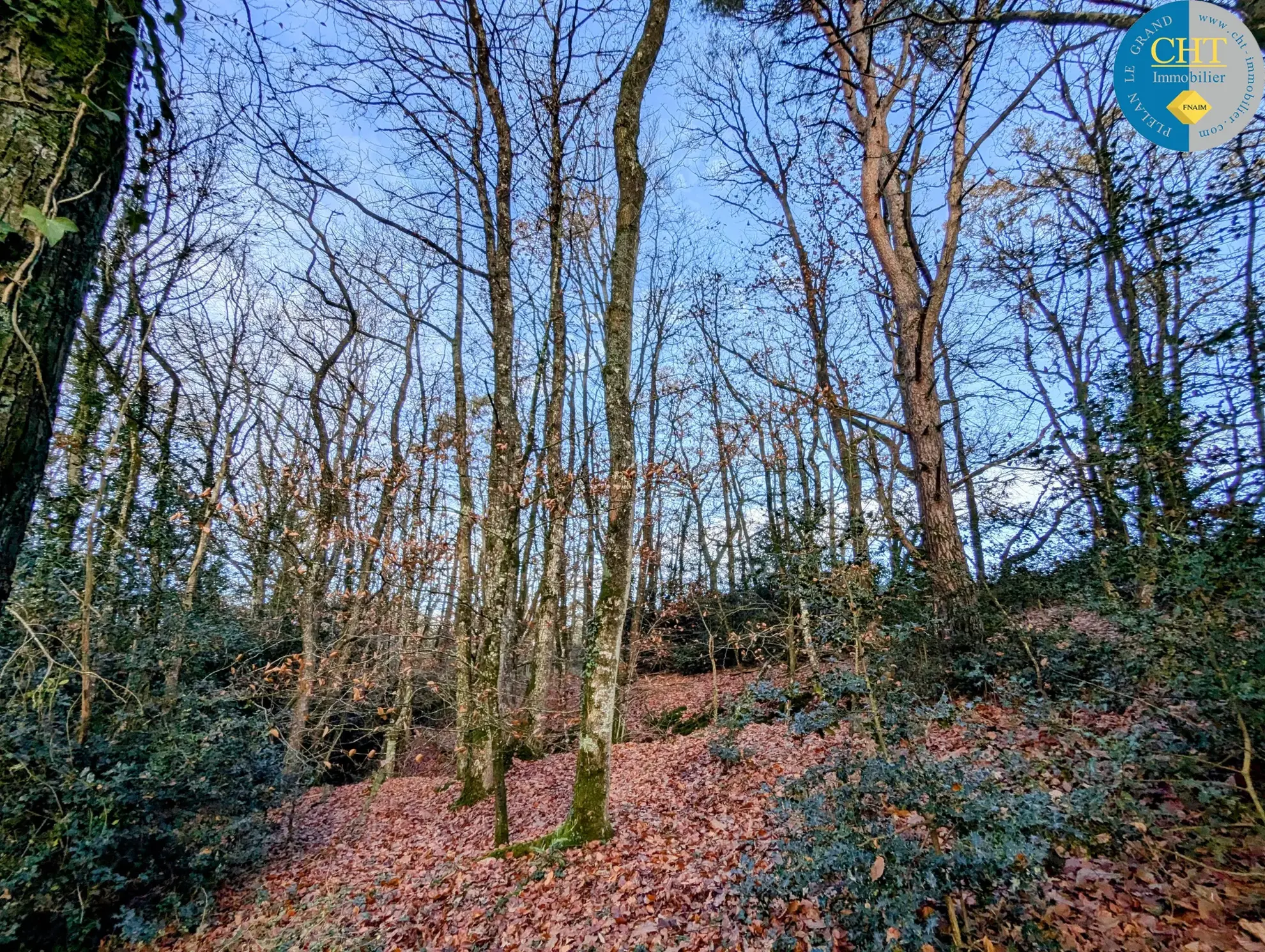 Terrain boisé à vendre à Monteneuf - 1 025 m2 