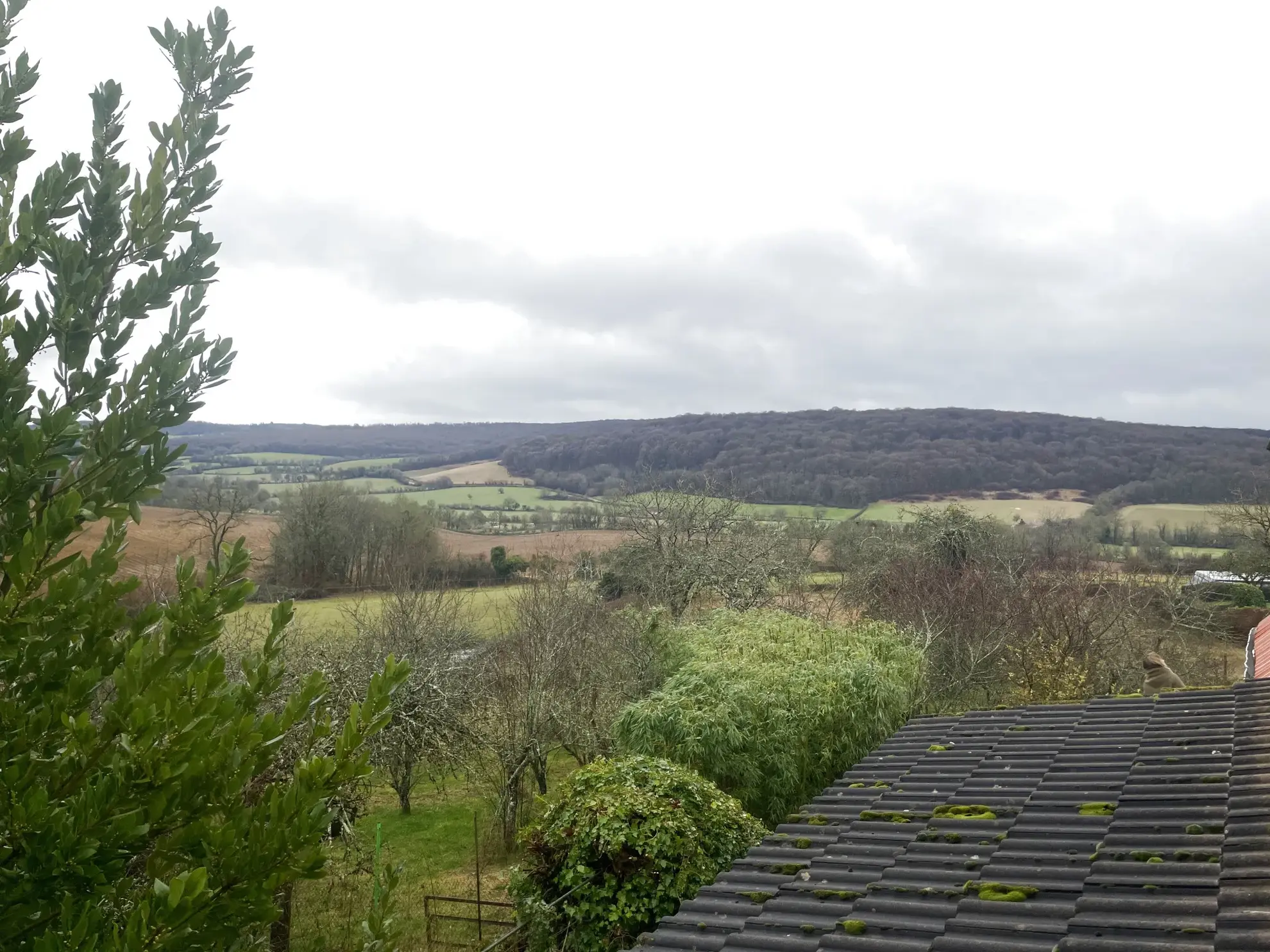 Maison de plain pied à Nolay avec vue sur la campagne 