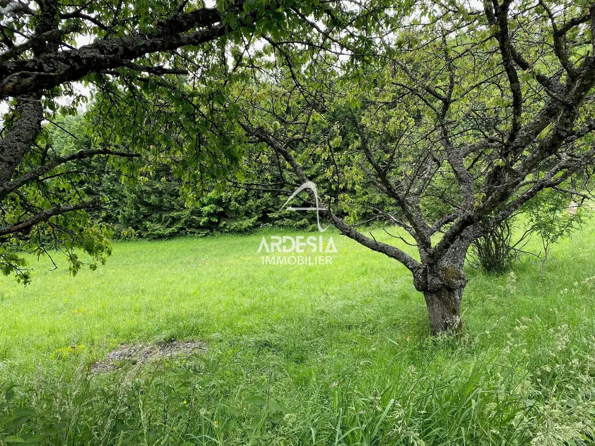 Terrains à vendre à Jarrier - Lotissement Le Bergust 