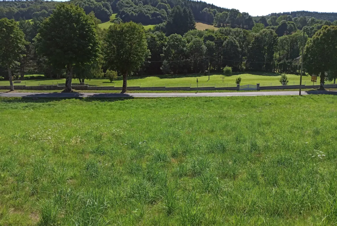 Terrain Constructible 38 euros le m2 à La Salvetat-sur-Agout 