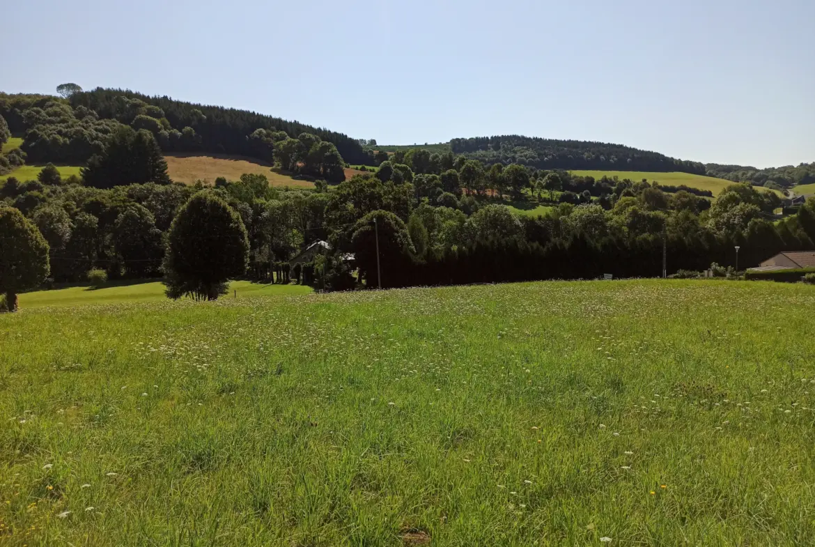 Terrain Constructible 38 euros le m2 à La Salvetat-sur-Agout 