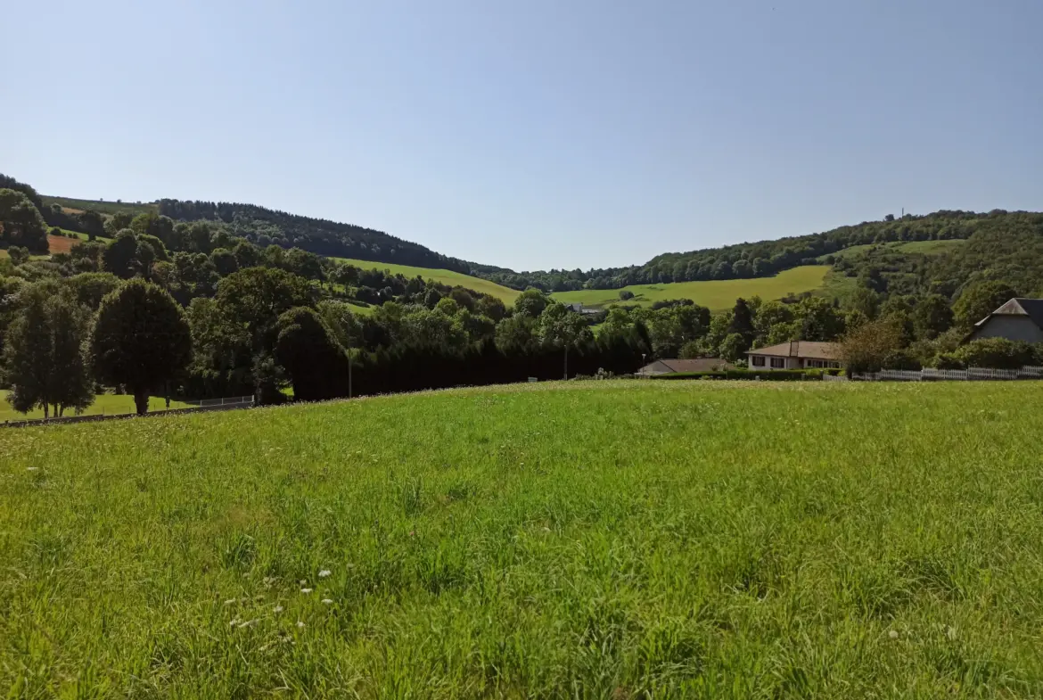 Terrain Constructible 38 euros le m2 à La Salvetat-sur-Agout 